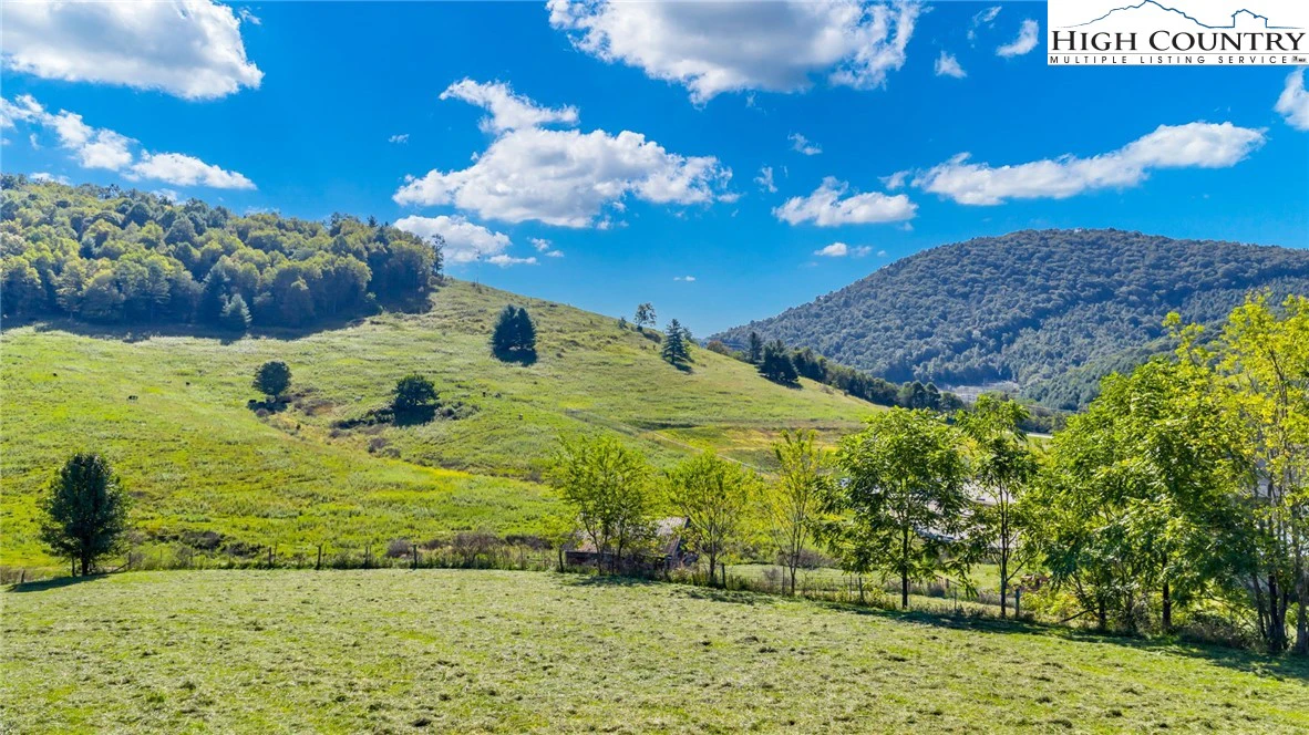 Image number 11 for the current listing