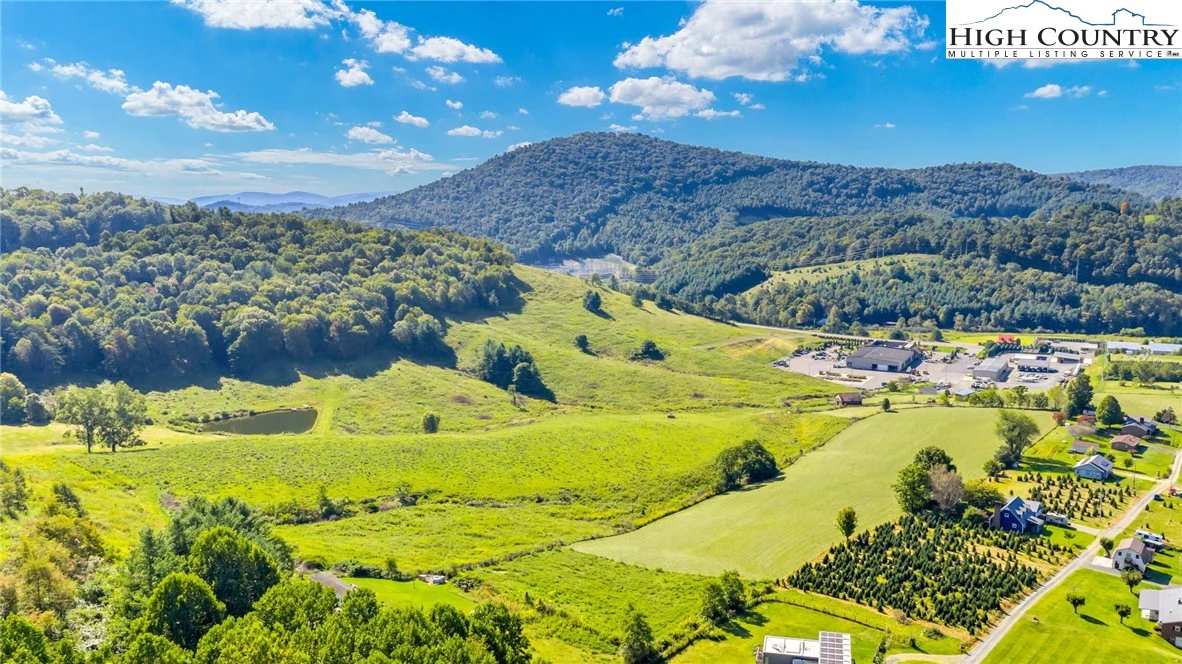 Image number 2 for the current listing
