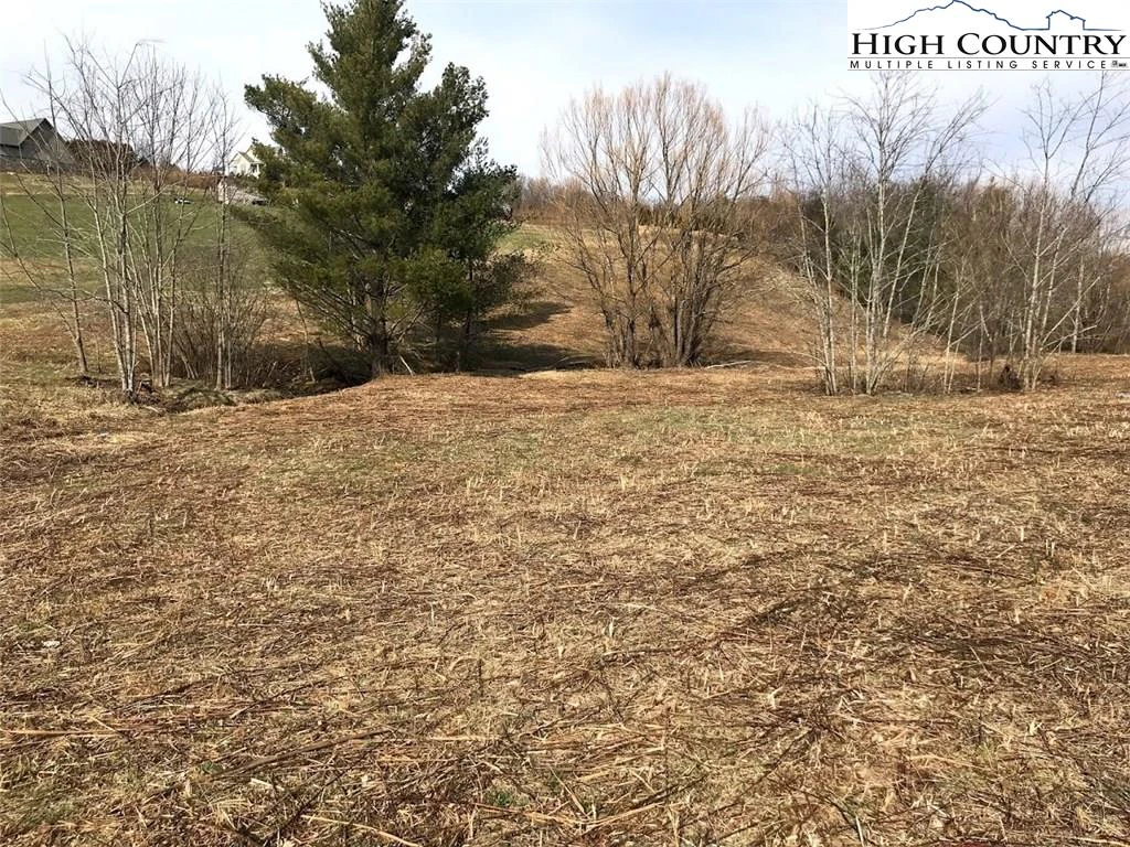 Image number 1 for the current listing