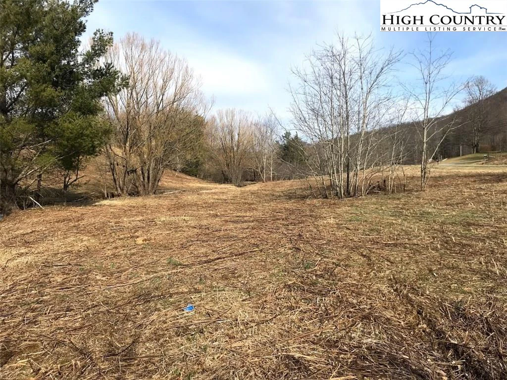 Image number 7 for the current listing