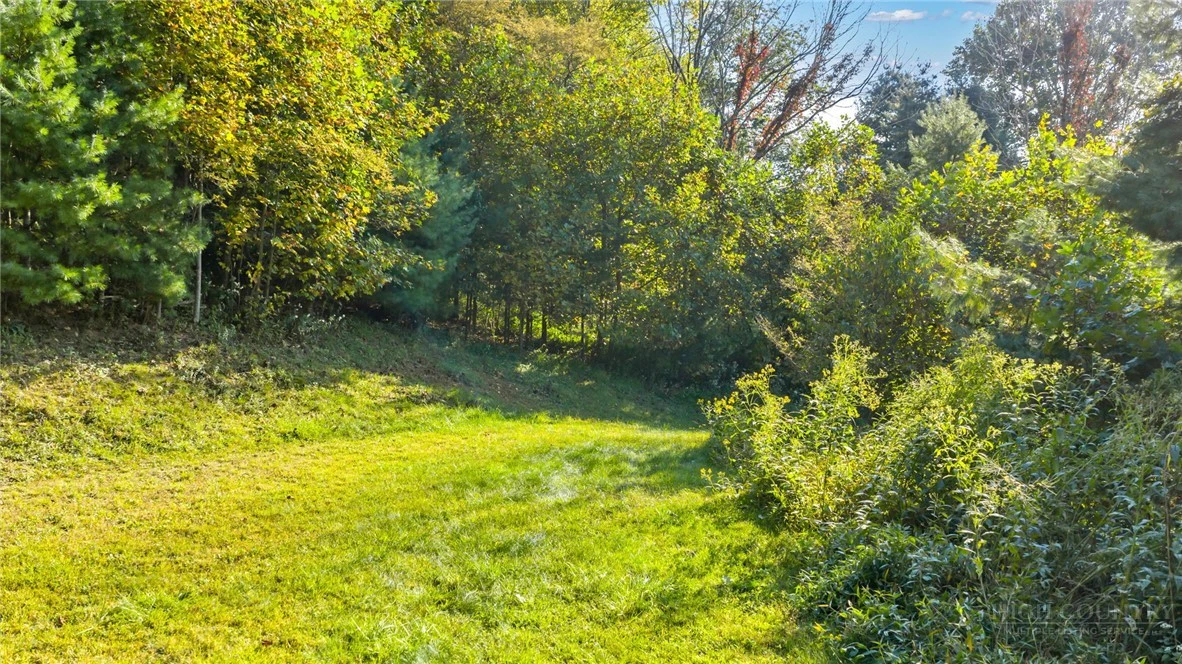 Image number 3 for the current listing