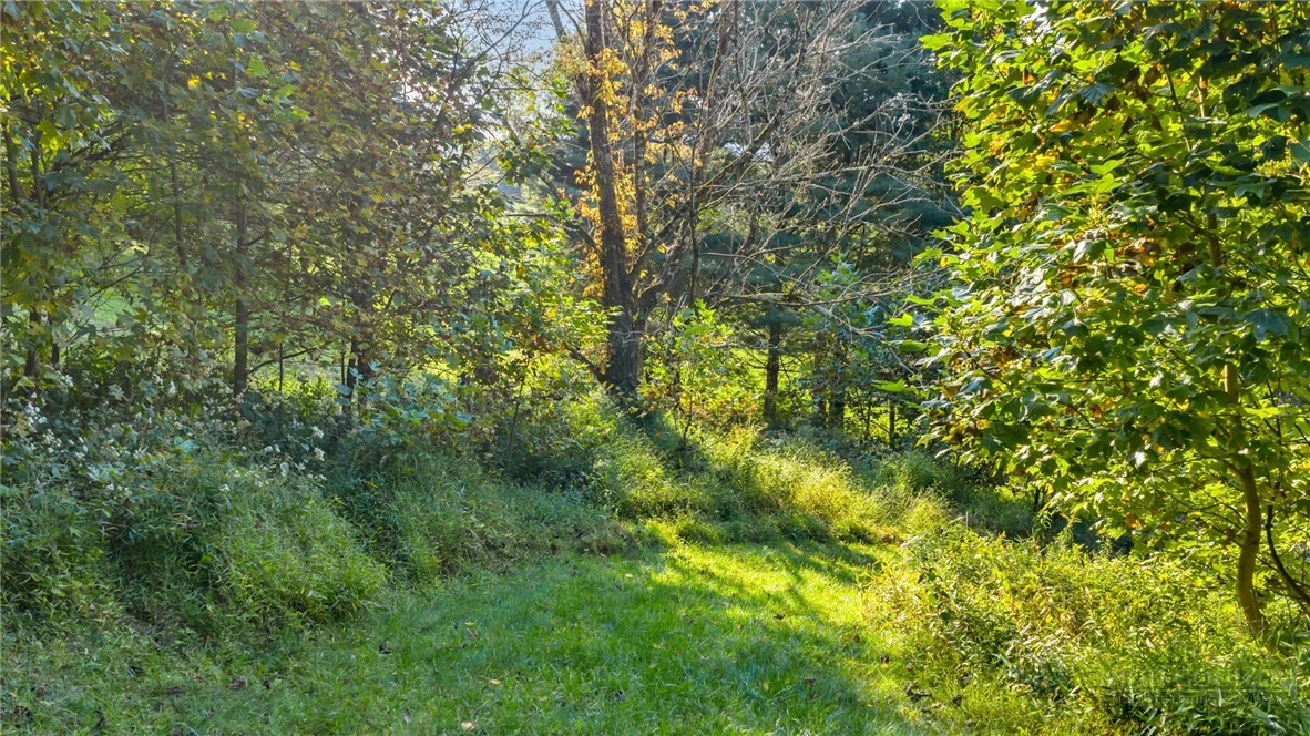 Image number 6 for the current listing