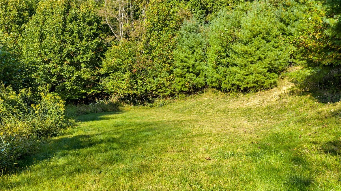 Image number 7 for the current listing
