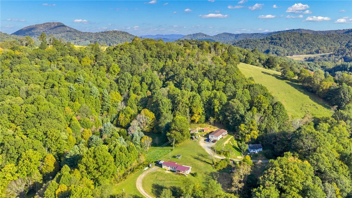 Image number 10 for the current listing