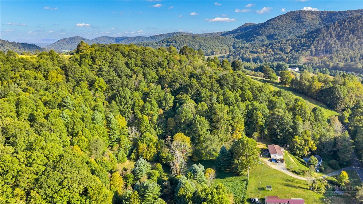 Image number 12 for the current listing