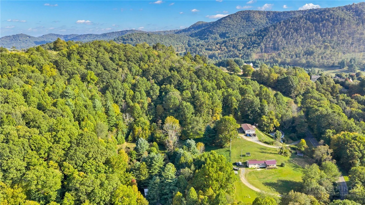 Image number 15 for the current listing