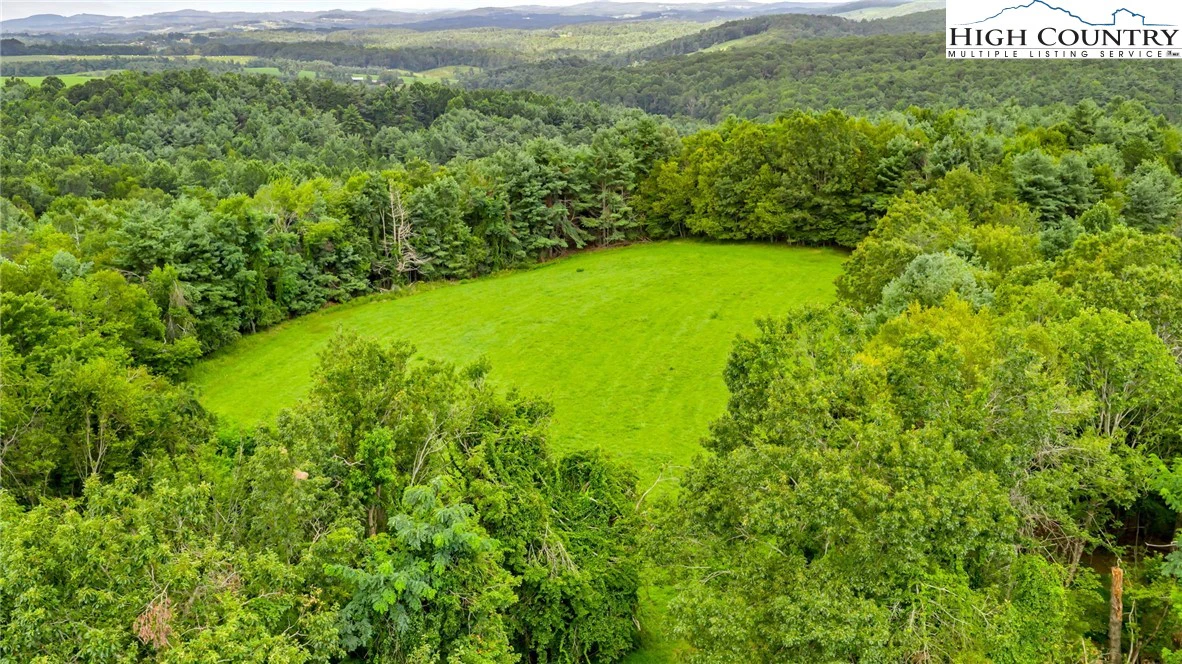 Image number 4 for the current listing