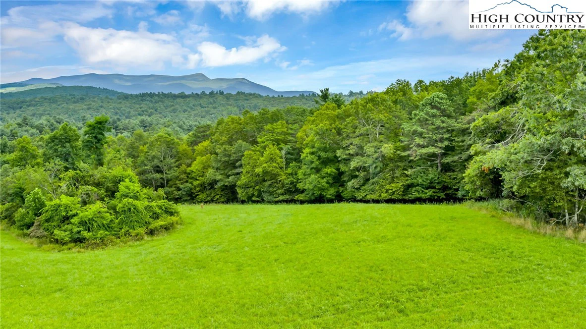 Image number 5 for the current listing