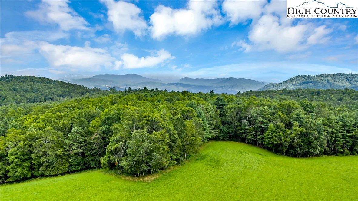 Image number 8 for the current listing