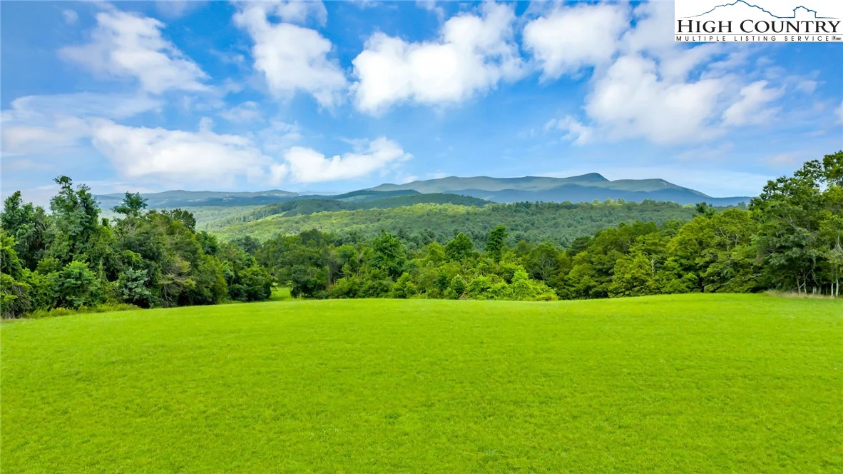 Image number 9 for the current listing