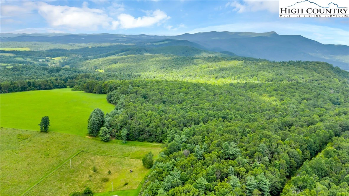 Image number 11 for the current listing