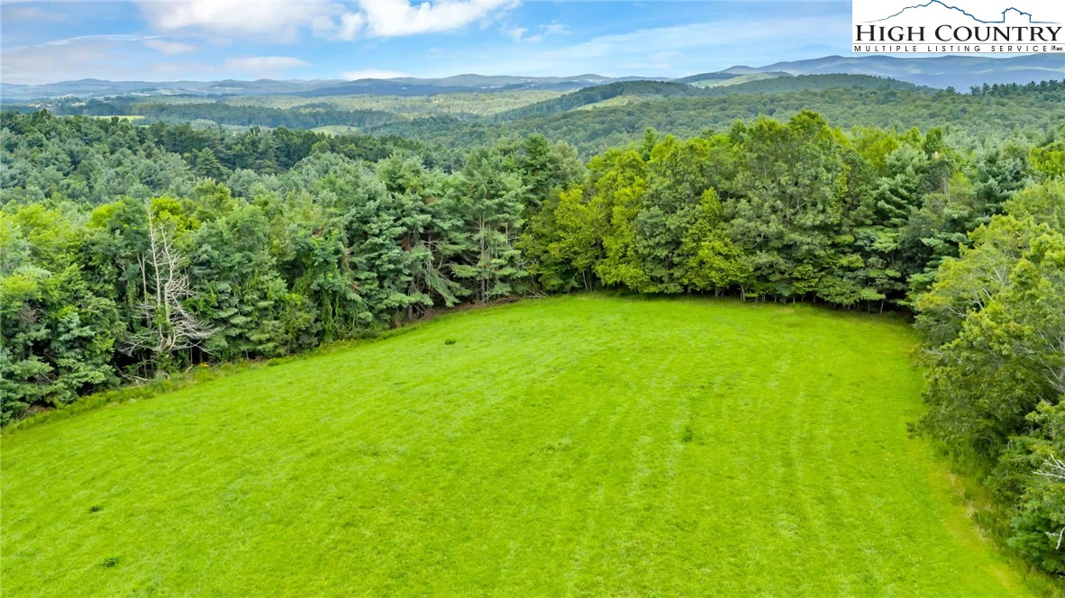 Image number 12 for the current listing