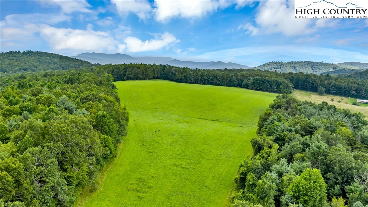 Image number 3 for the current listing