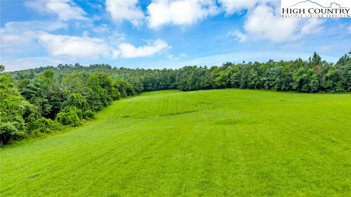 Image number 2 for the current listing