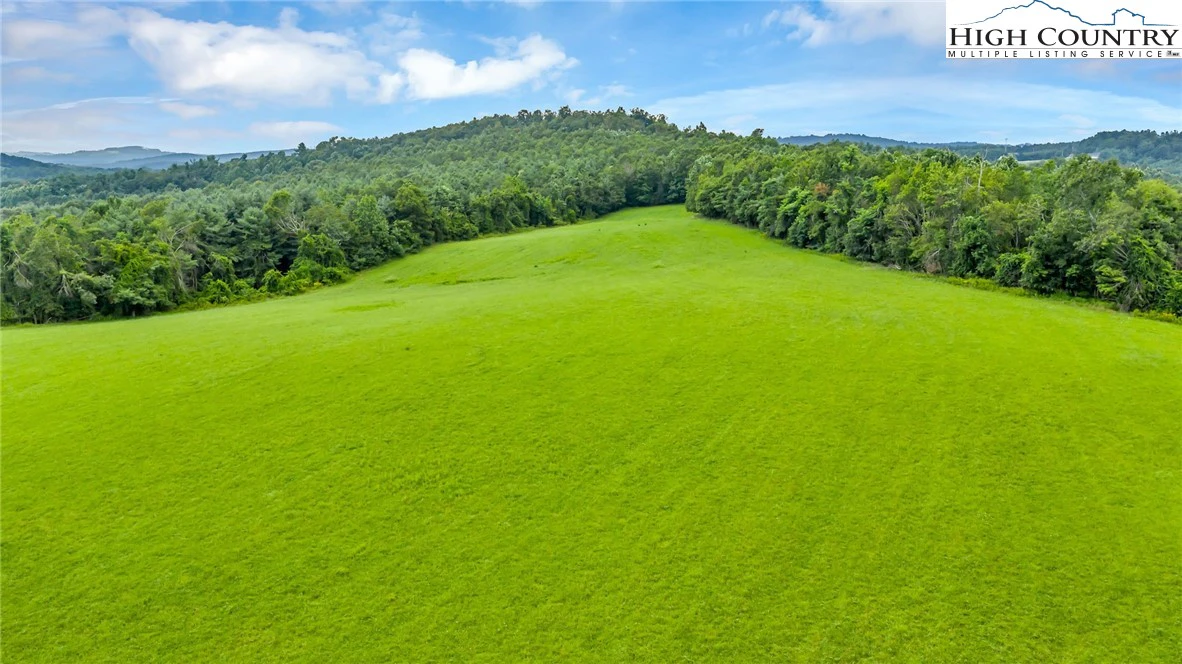 Image number 13 for the current listing