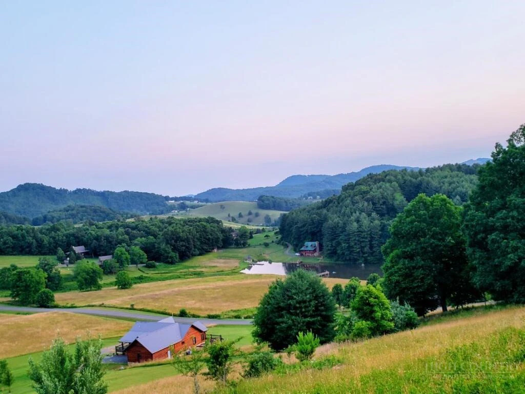 Image number 1 for the current listing