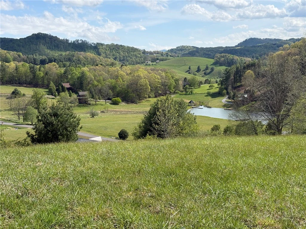 Image number 11 for the current listing