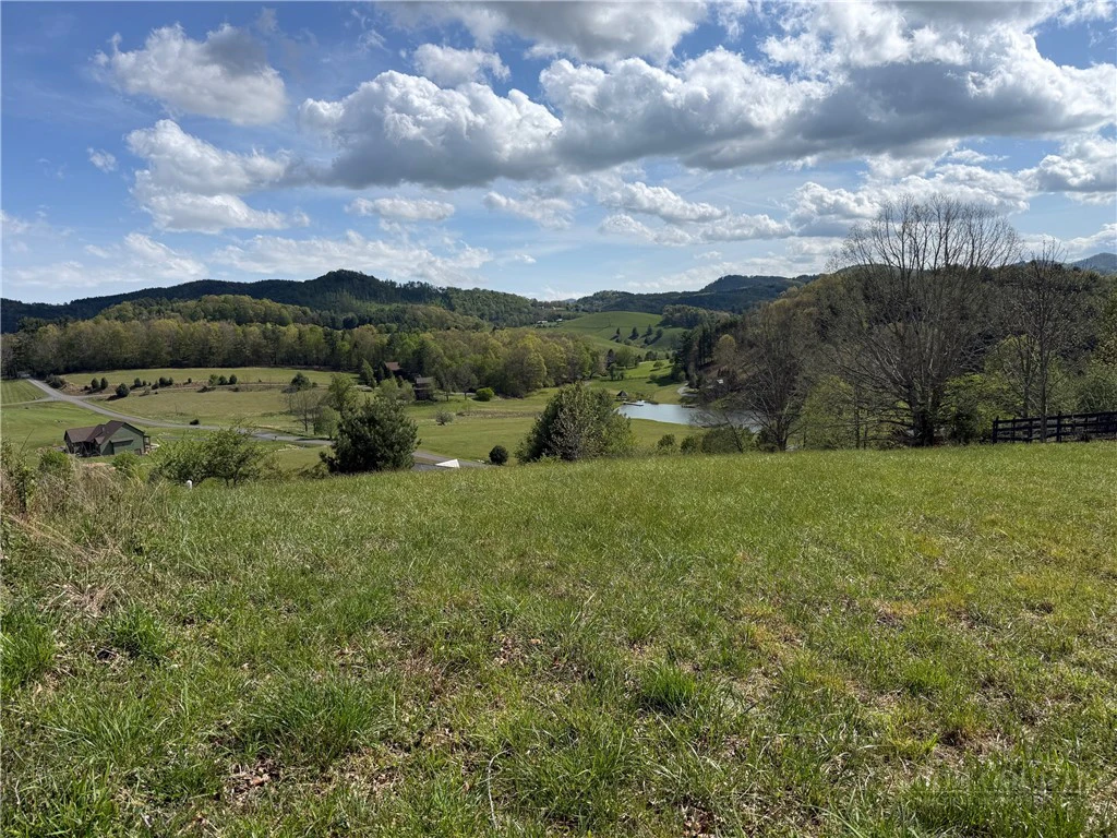 Image number 12 for the current listing