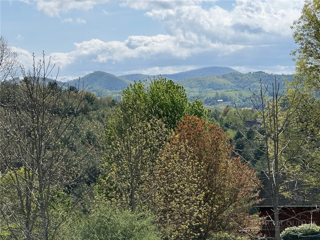 Image number 14 for the current listing