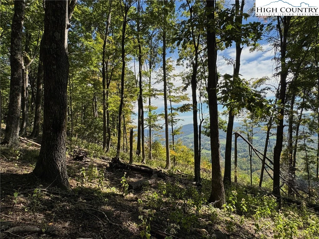 Image number 4 for the current listing