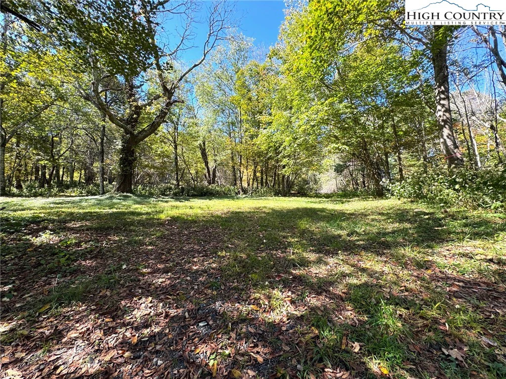 Image number 11 for the current listing