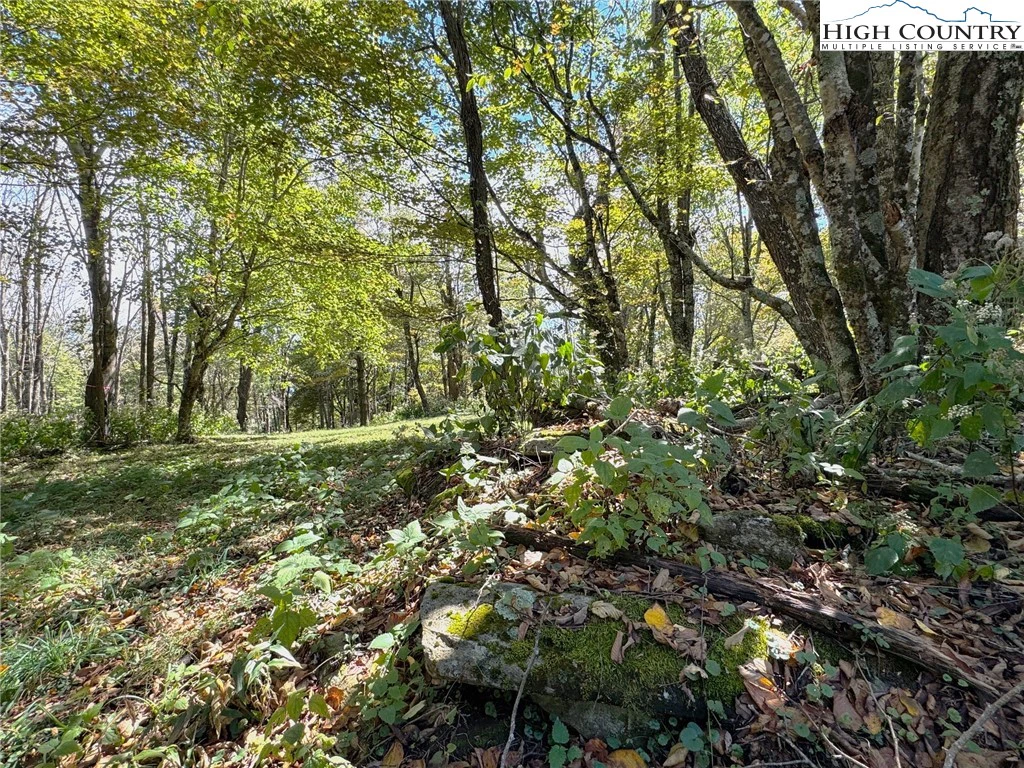 Image number 13 for the current listing