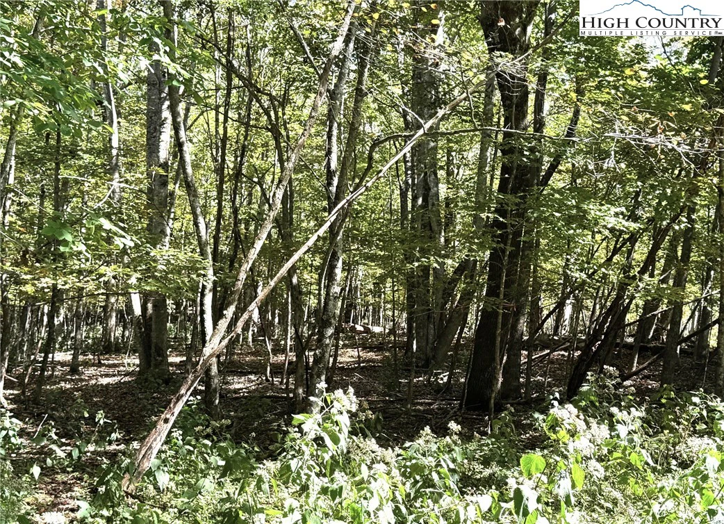 Image number 14 for the current listing