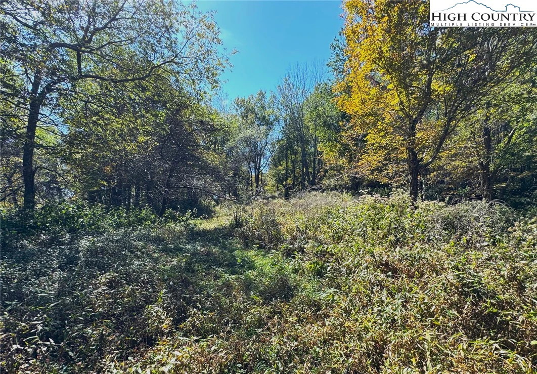 Image number 15 for the current listing