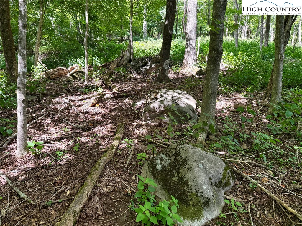 Image number 15 for the current listing