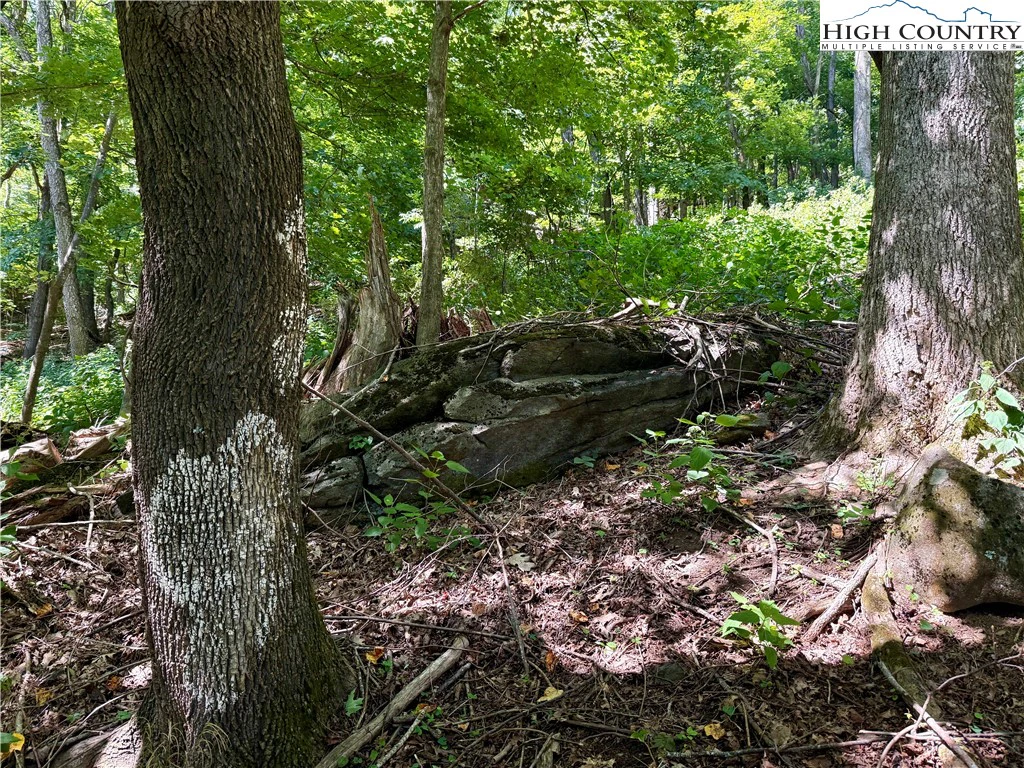 Image number 14 for the current listing