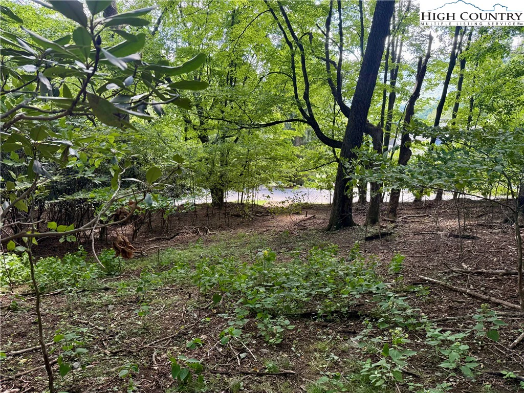 Image number 2 for the current listing