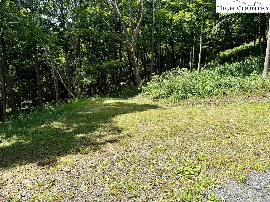 Image number 10 for the current listing