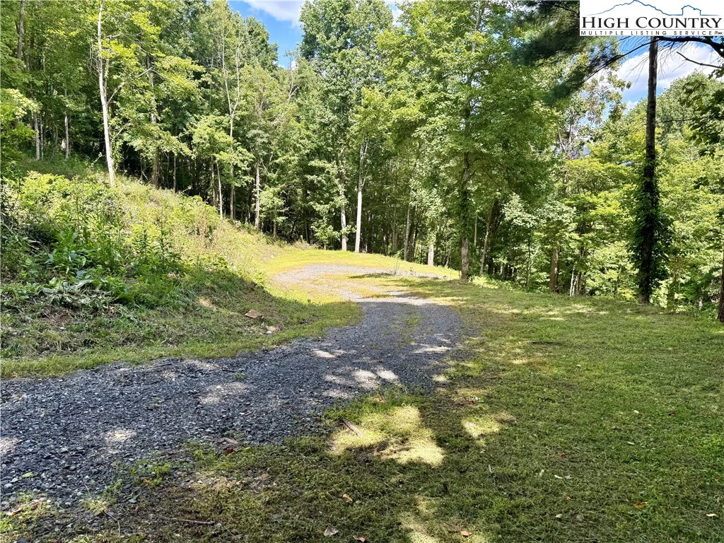 Image number 5 for the current listing