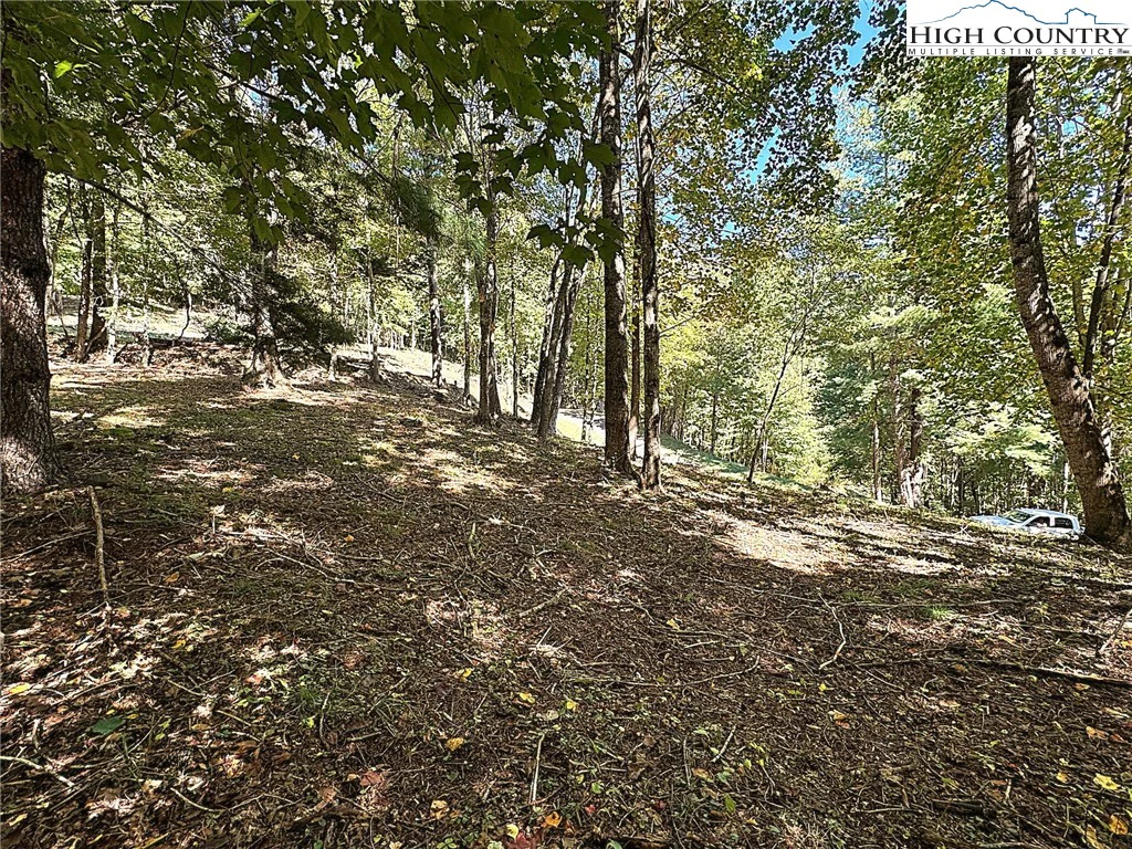 Image number 12 for the current listing