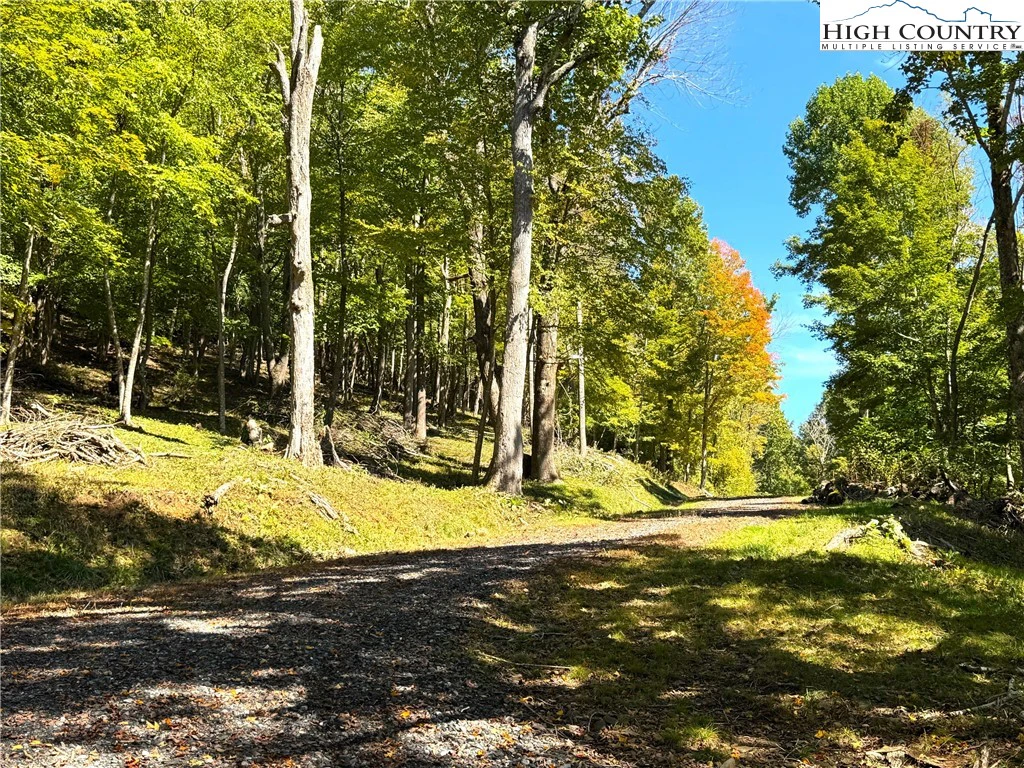 Image number 1 for the current listing
