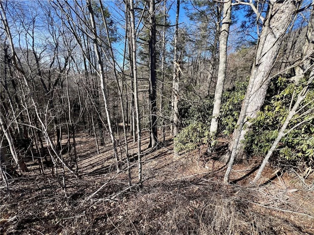Image number 3 for the current listing