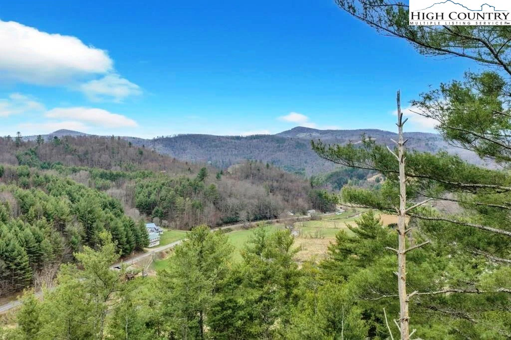 Image number 4 for the current listing