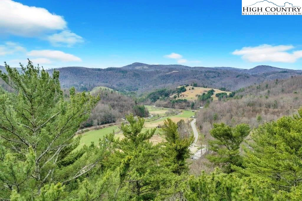 Image number 7 for the current listing