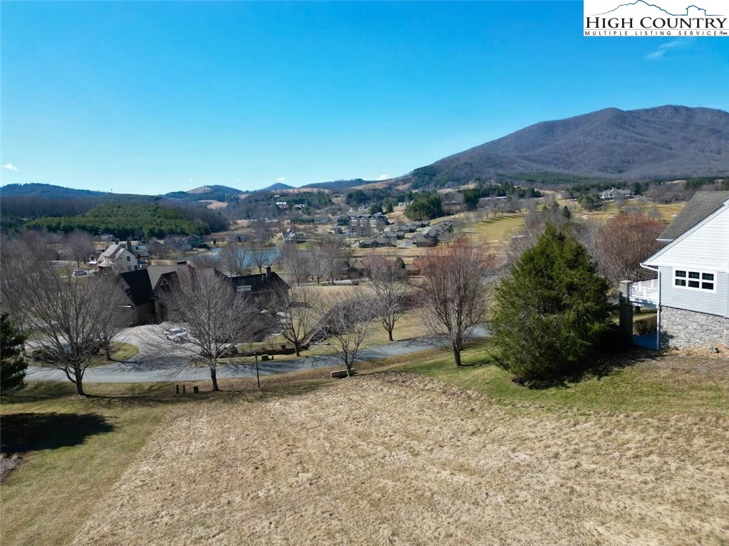 Image number 1 for the current listing