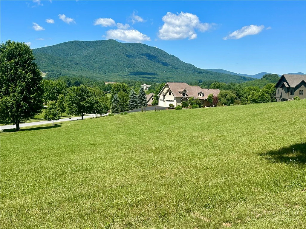 Image number 2 for the current listing
