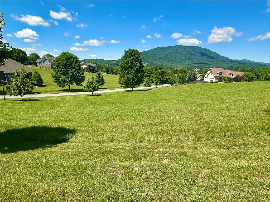 Image number 3 for the current listing