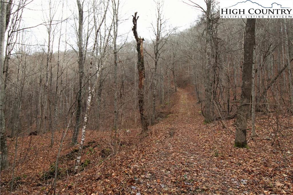 Image number 2 for the current listing