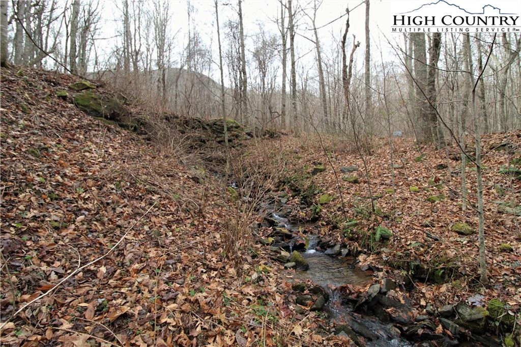 Image number 11 for the current listing