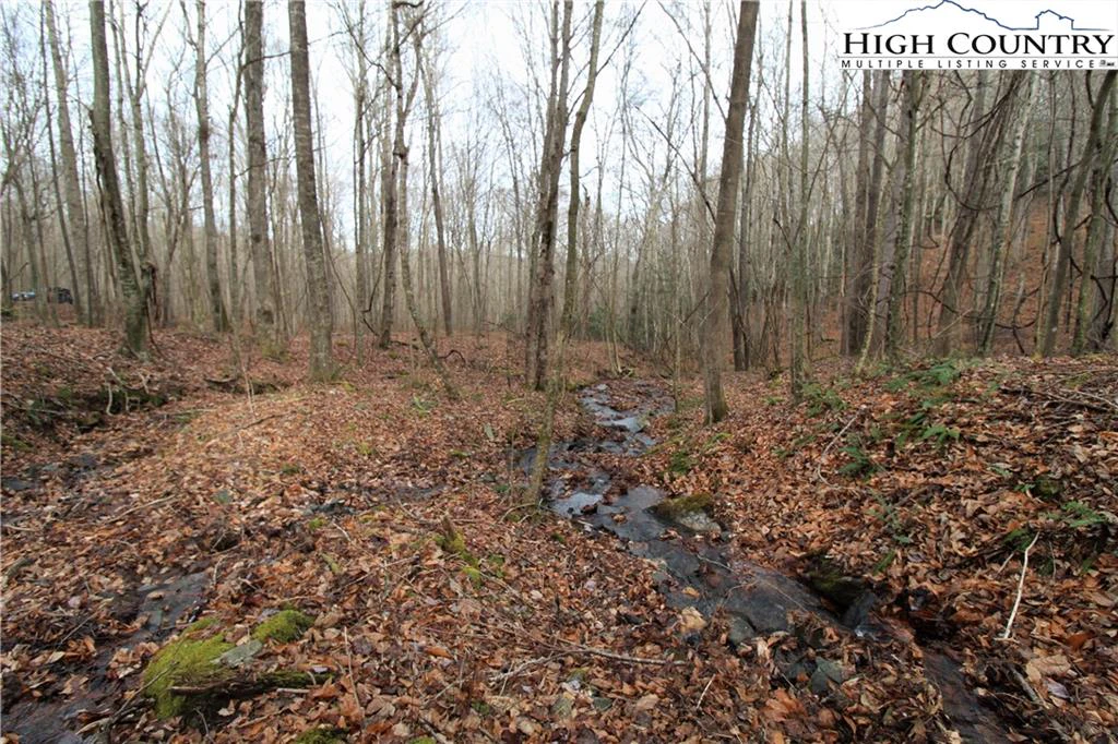 Image number 9 for the current listing