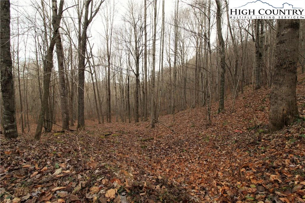 Image number 8 for the current listing
