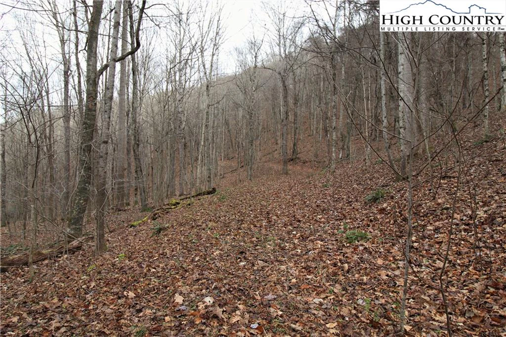 Image number 7 for the current listing