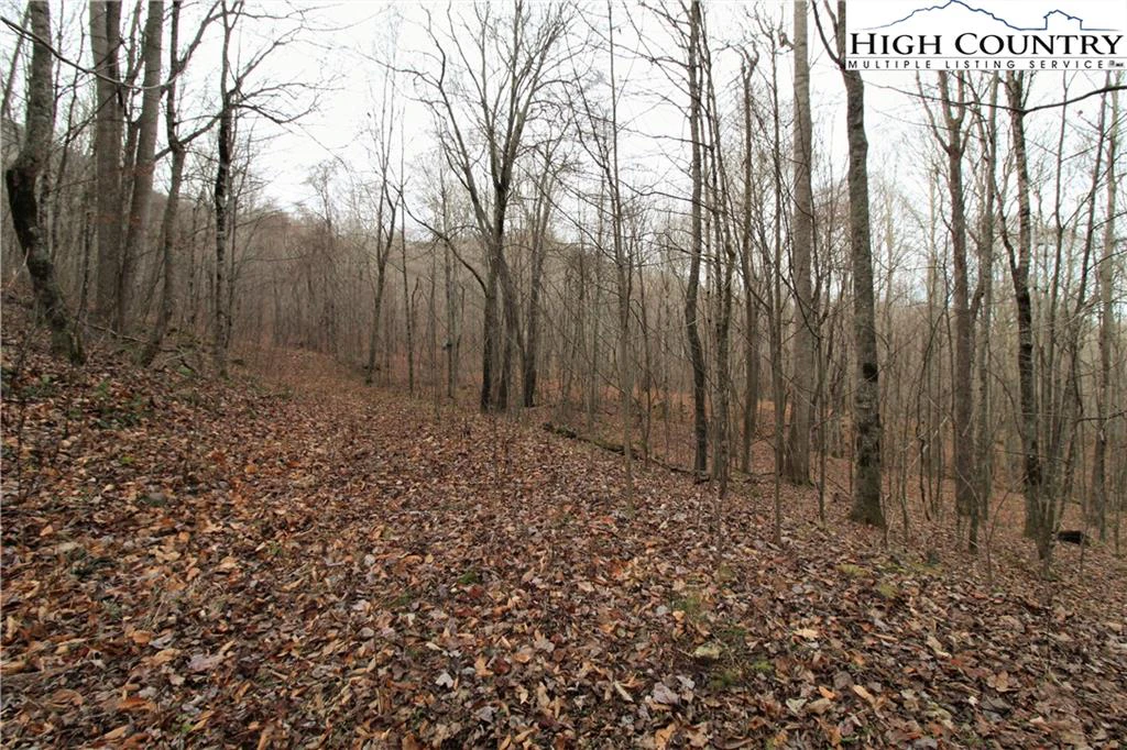 Image number 6 for the current listing
