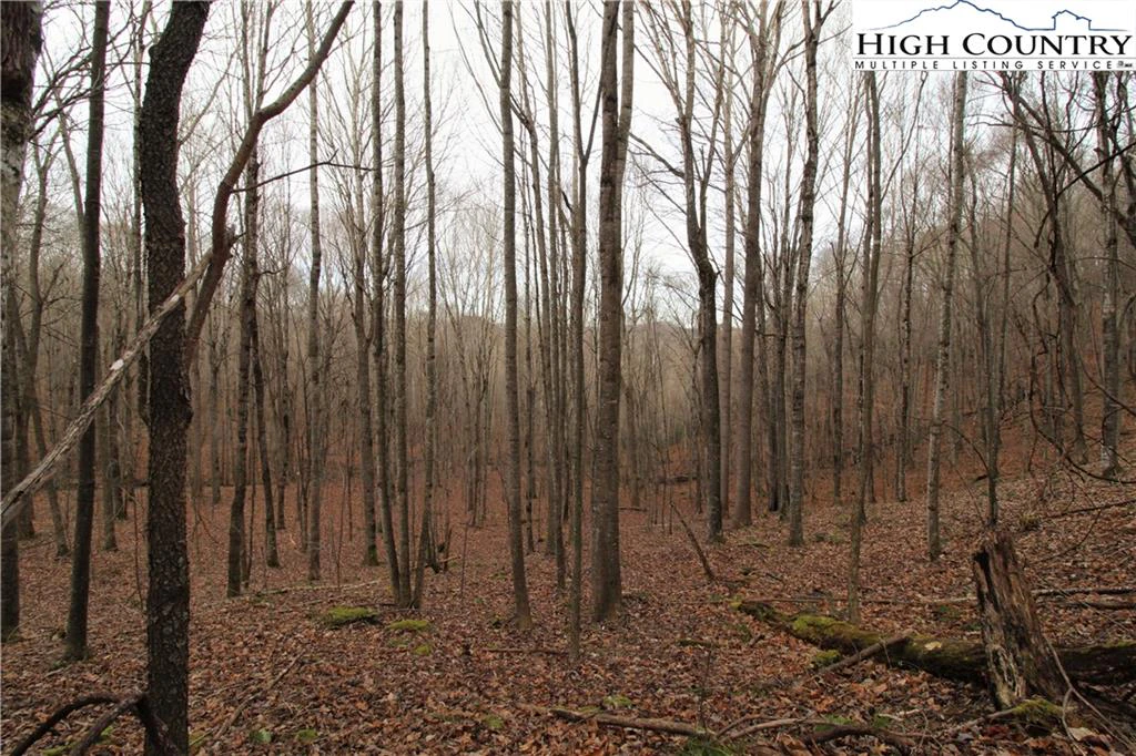 Image number 5 for the current listing
