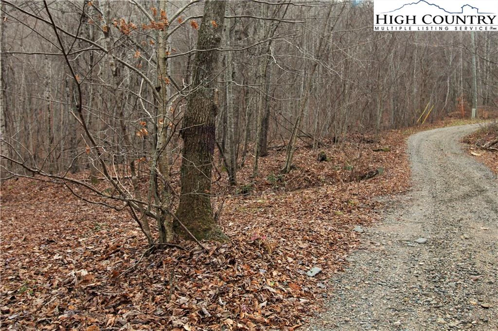 Image number 4 for the current listing