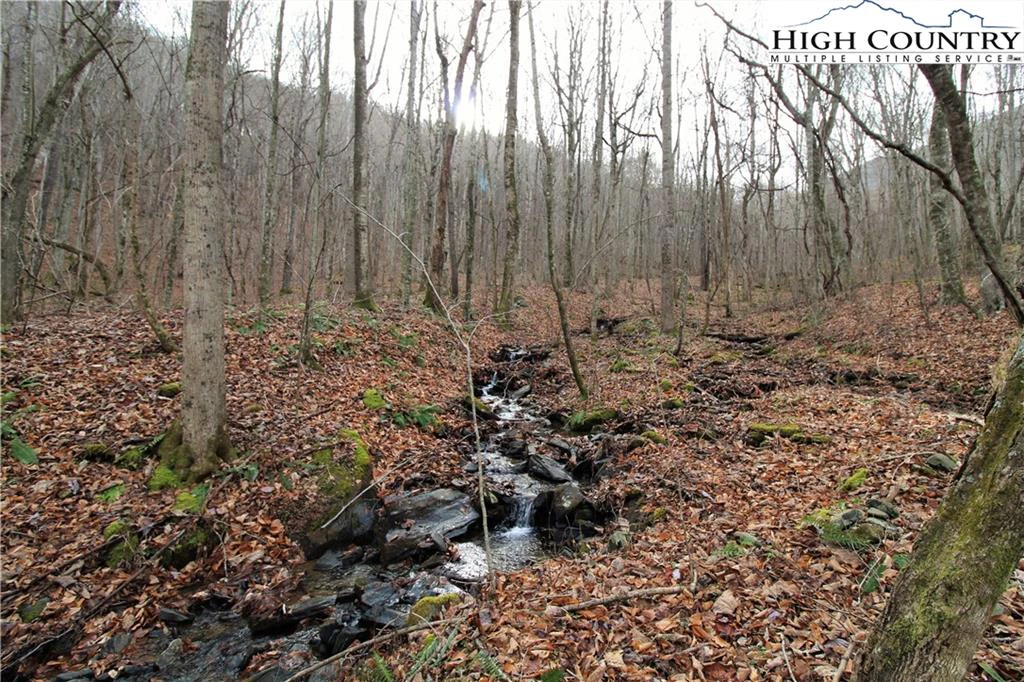 Image number 18 for the current listing